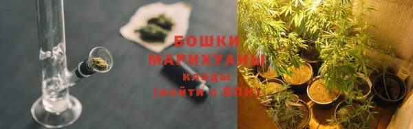 мяу мяу мука Нея