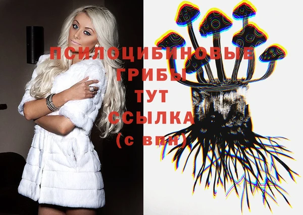 дурь Нефтекумск