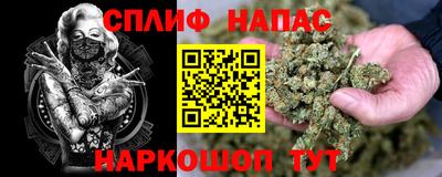 ECSTASY Будённовск