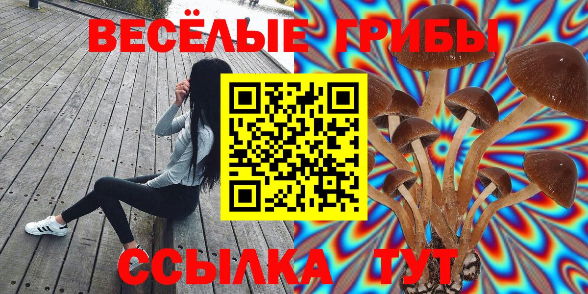 Псилоцибиновые грибы прущие грибы Кореновск