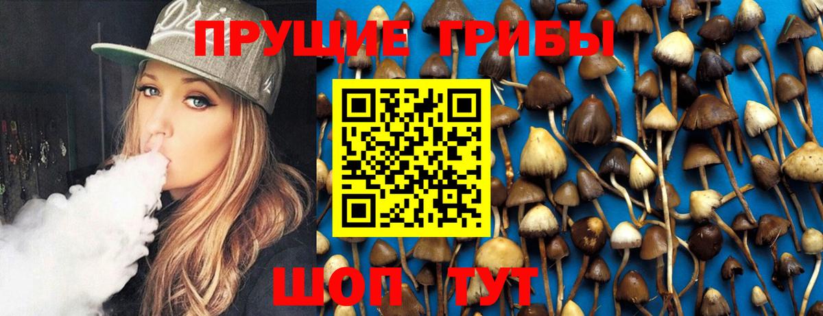 Кореновск  Галлюциногенные грибы мухоморы  Галлюциногенные грибы мухоморы  Вход с VPN 