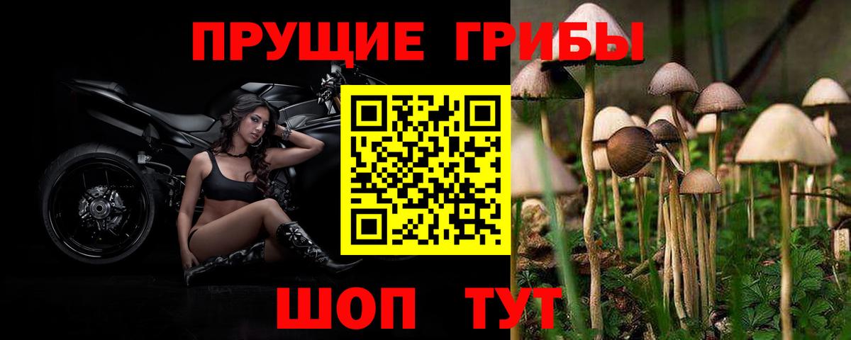 Галлюциногенные грибы мухоморы  Кореновск  Галлюциногенные грибы мухоморы 